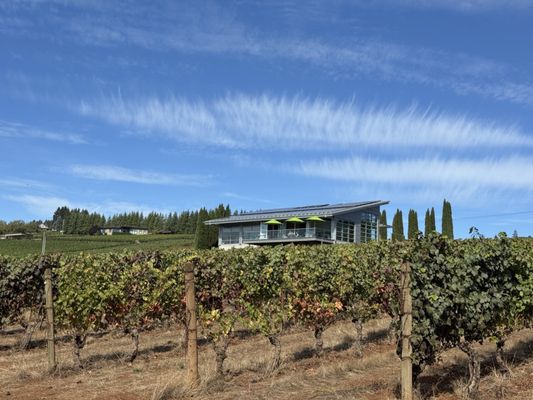 Winderlea Vineyard & Winery by null