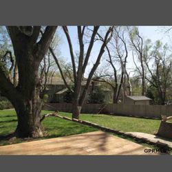 Fermincho Tree Service and Lancaping - Tree service
