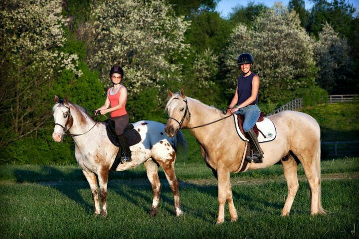 Ballyhigh Show Stables - equestrian in Versailles, KY