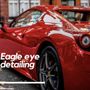 Eagle Eye Detaling