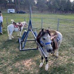 Pine Canyon Golf Club - Ponies