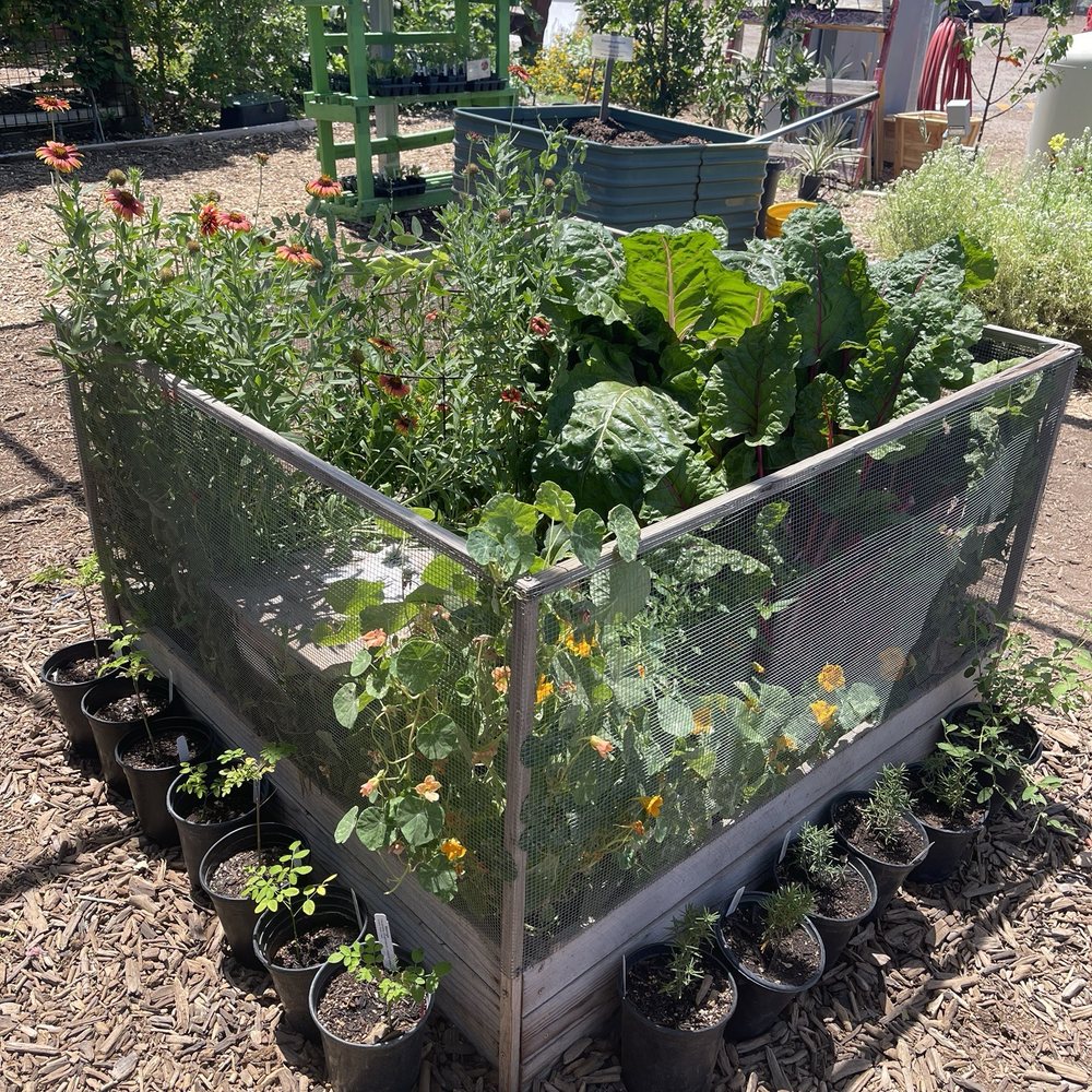 Arizona Worm Farm - Sample garden implementing vermicomposting - Attraction Farms Near Me - Phoenix, Arizona Arizona Worm Farm - Sample garden implementing vermicomposting - Attraction Farms Near Me - Phoenix, Arizona