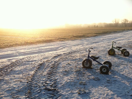 Blue Moon Acres Buckingham, PA by null