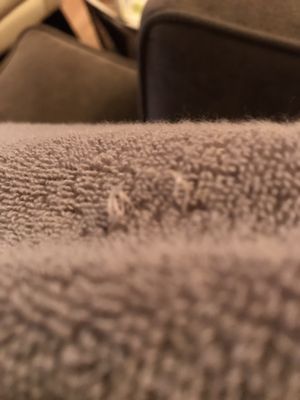 Parachute Home by null