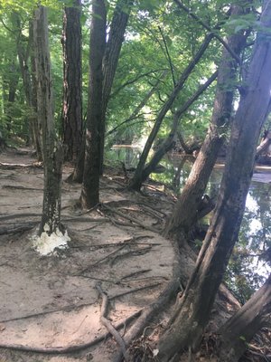 Joseph Bryan Park - 34 Photos & 22 Reviews - Parks - 4308 Hermitage Rd