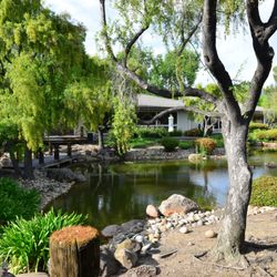 Vivian W Cheng, DMD - Silicon Valley Dentistry