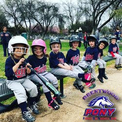 Brentwood Pony Baseball League