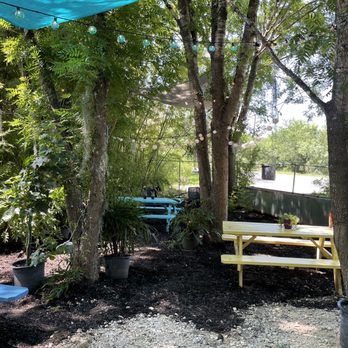 Tuxedo Cat's Coffee - Sitting area when drinking coffee. - Coffee & Tea Near Me - San Antonio, Texas