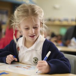 Primrose School of Oldsmar - Active Minds