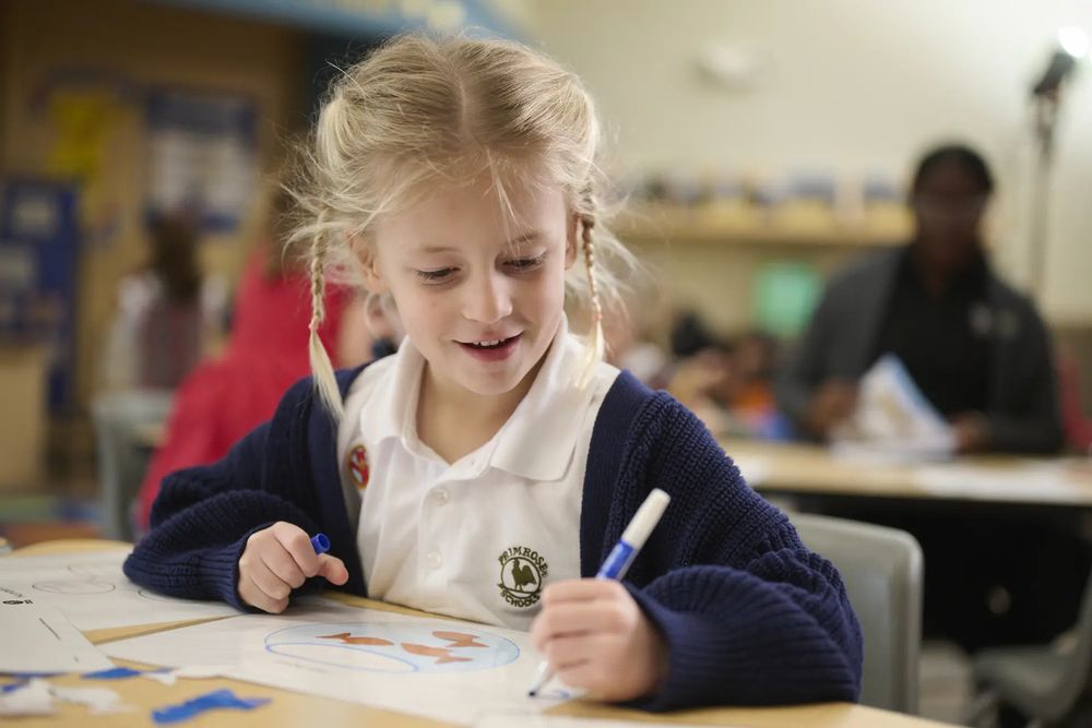 Primrose School of Oldsmar - childcare center in Oldsmar, FL