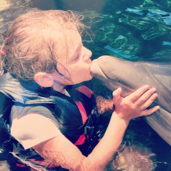 Dolphin Quest - Photo op with a sweet dolphin - Tours Near Me - Waikoloa, Hawaii