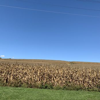 Hersheypark Camping Resort - There is a corn field abutting the campground - Campgrounds Near Me - Hummelstown, Pennsylvania Hersheypark Camping Resort - There is a corn field abutting the campground - Campgrounds Near Me - Hummelstown, Pennsylvania