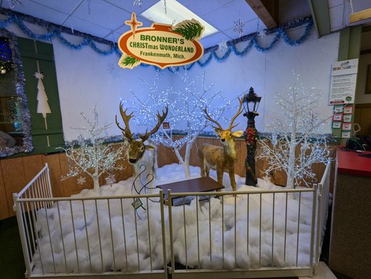 Bronner's Christmas Wonderland by null
