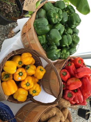 Gamble Creek Farms by null