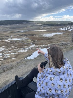 Hayden Valley by null