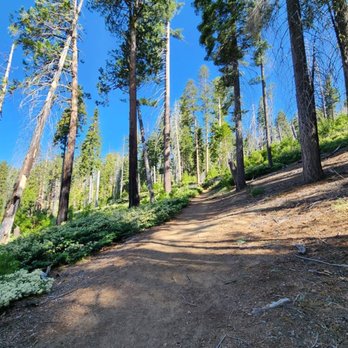 Sierra National Forest - 2025 Jun 3: Perimeter Trail - Hiking Near Me - Clovis, California