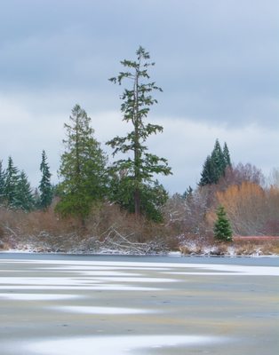 Larsen Lake Blueberry Farm by null