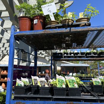 1. Almaden Valley Nursery