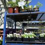 Photo of Almaden Valley Nursery