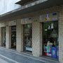 Photo of Cãopanhia
