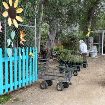 Valley Center Nursery - Nurseries & Gardening Near Me - Valley Center, California