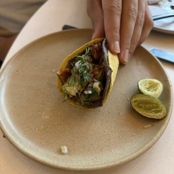 Pascual - Taco al pastor - Mexican Near Me - Washington, DC, District of Columbia Pascual - Taco al pastor - Mexican Near Me - Washington, DC, District of Columbia