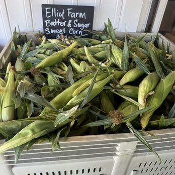 Elliot Farm - Corn on the cob - Farmers Market Near Me - Lakeville, Massachusetts Elliot Farm - Corn on the cob - Farmers Market Near Me - Lakeville, Massachusetts