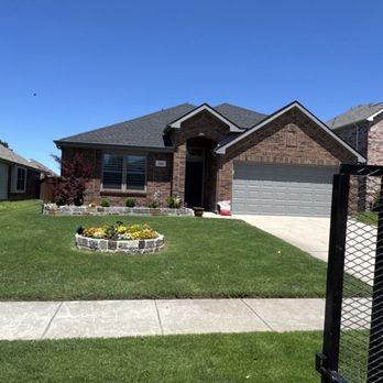 Arboriculture Services - Stone wall where tree was and you can see I could not put the required tree anywhere else. - Tree Services Near Me Arboriculture Services - Stone wall where tree was and you can see I could not put the required tree anywhere else. - Tree Services Near Me