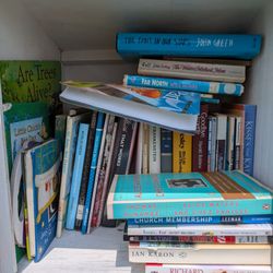 Cat's Little Free Library - Cat's Little Free Library, Gatesville