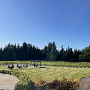 Windy Hills Winery - Stunning scenery from the back patio - Wineries Near Me - Ridgefield, Washington Windy Hills Winery - Stunning scenery from the back patio - Wineries Near Me - Ridgefield, Washington