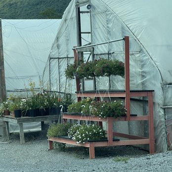 Hilltop Farms - Green house - Delis Near Me - Bellefonte, Pennsylvania Hilltop Farms - Green house - Delis Near Me - Bellefonte, Pennsylvania