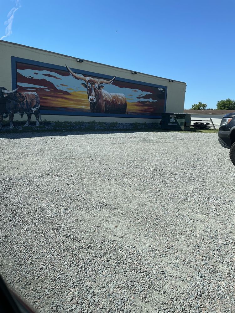 ACREDALE SADDLERY Updated September 2024 73 Photos & 33 Reviews 5248 Indian River Rd