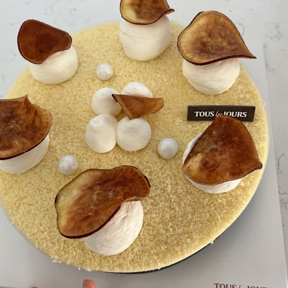 Tous Les Jours - Bakeries Near Me - Katy, Texas Tous Les Jours - Bakeries Near Me - Katy, Texas