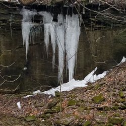 Lowe-Volk Nature Center - Many wonderful views while hiking