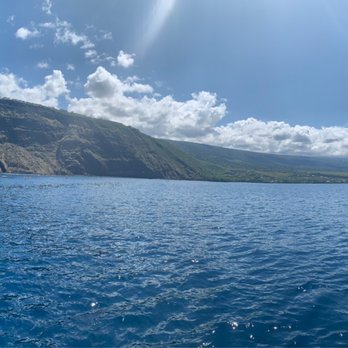 Alii Ocean Tours - Boat Charters Near Me - Kailua-Kona, Hawaii Alii Ocean Tours - Boat Charters Near Me - Kailua-Kona, Hawaii