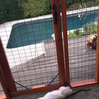 Bobby Evans - Catio project: Wonton enjoying catio, detail of screen door made by Bobby - Handyman Near Me