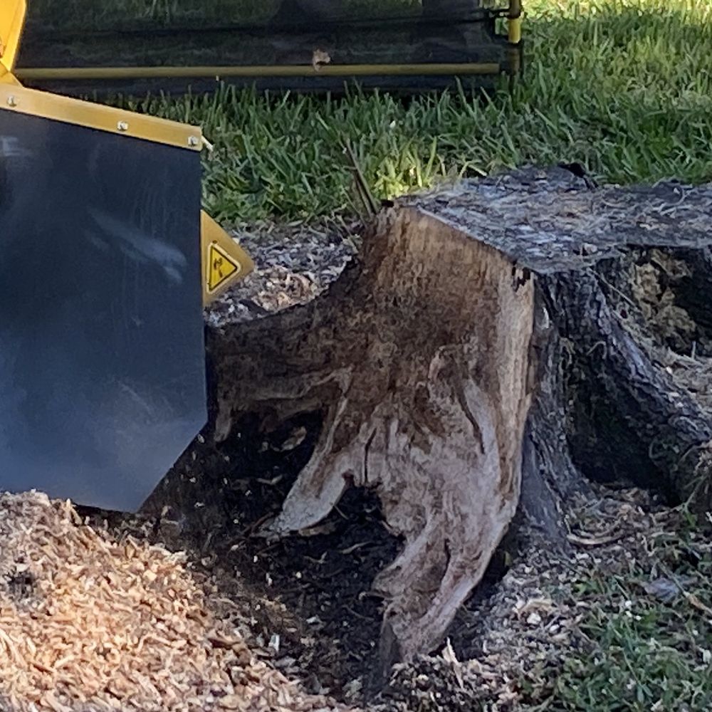 Expert Stump Removal - Tree Services Near Me Expert Stump Removal - Tree Services Near Me
