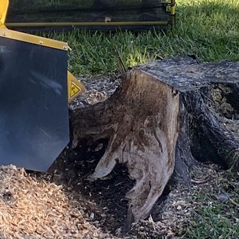 Expert Stump Removal - Tree Services Near Me Expert Stump Removal - Tree Services Near Me