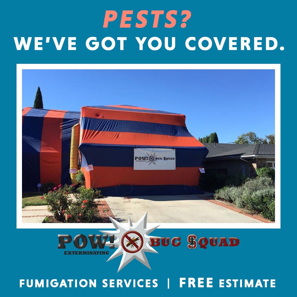 Slide of POW! Bug Squad