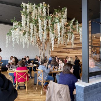 Willow & Whisk - Willow tree inside - Breakfast & Brunch Near Me - Wyckoff, New Jersey Willow & Whisk - Willow tree inside - Breakfast & Brunch Near Me - Wyckoff, New Jersey