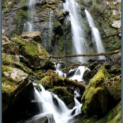 Lee Falls Trailhead - I'm in the middle o the creek here with more cascades behind me.