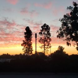 Dapplegray Park - Sunrise 3-1-21