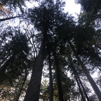Wildwood Trail - Hiking Near Me - Portland, Oregon Wildwood Trail - Hiking Near Me - Portland, Oregon