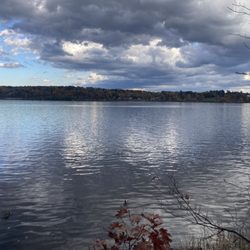 Falling Waters Preserve