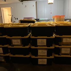White Glove Moving Services