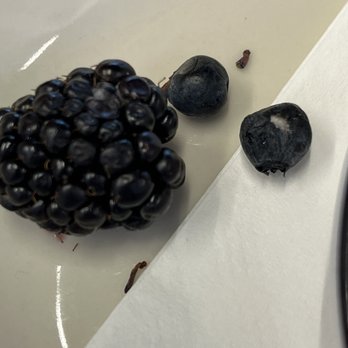 Hatch - Moldy berries - Breakfast & Brunch Near Me - Huntington, New York