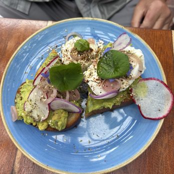Convivo Restaurant and Bar - Avocado toast - Bars Near Me - Santa Barbara, California Convivo Restaurant and Bar - Avocado toast - Bars Near Me - Santa Barbara, California