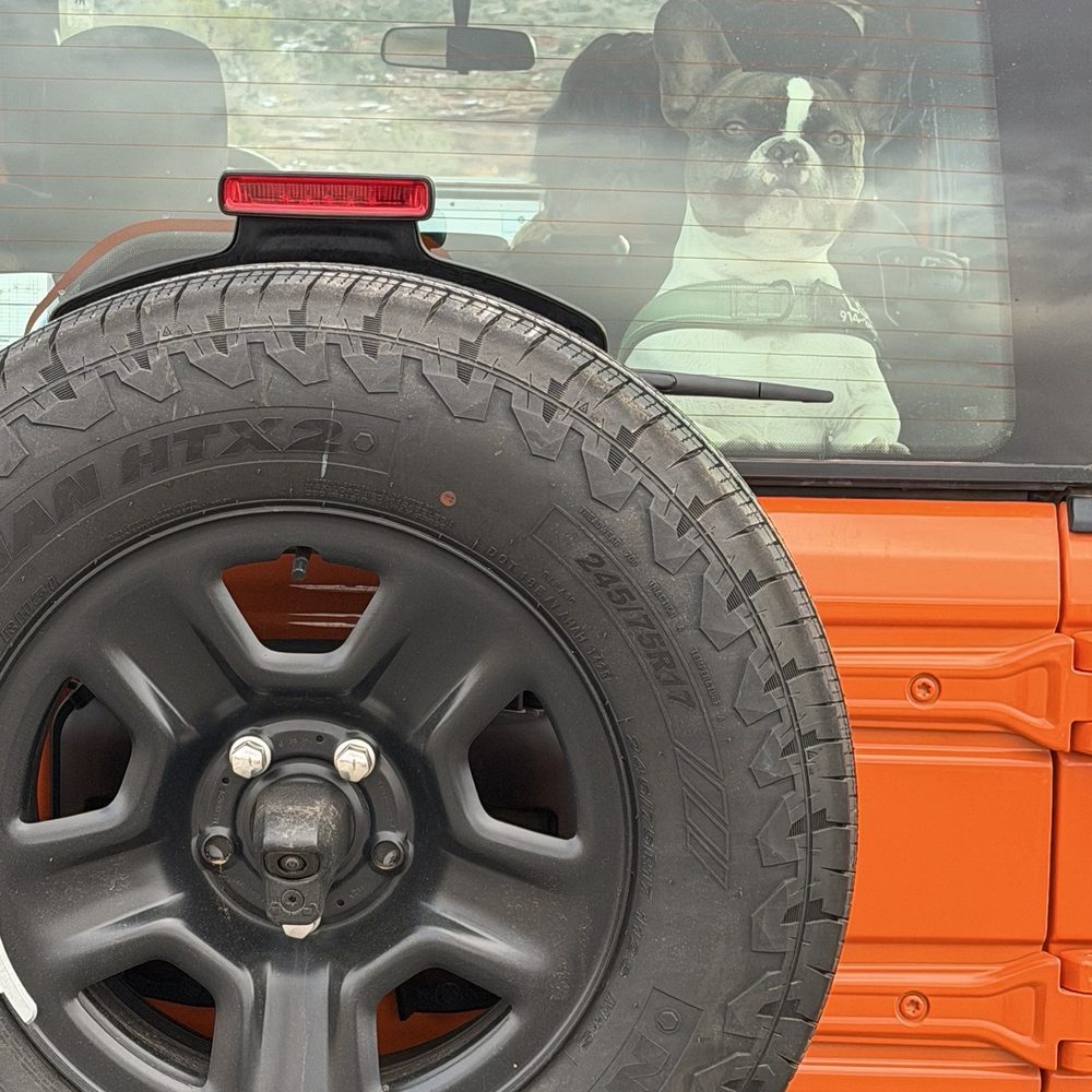 Jenn's Jeep Rentals - The cutest boy is waiting for me in the back of Jenn's Jeep! - Car Rental Near Me - Moab, Utah Jenn's Jeep Rentals - The cutest boy is waiting for me in the back of Jenn's Jeep! - Car Rental Near Me - Moab, Utah