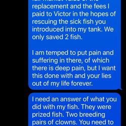 Aqua Biz - Months of negotiations with Johnny to get my fish back. Months of lies and deceit. This is all so upsetting.