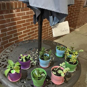 Happy Crab - The kid selling some succulents - Seafood Near Me - Somerville, Massachusetts